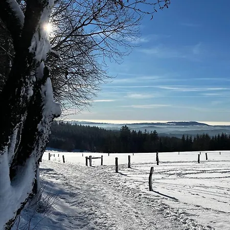 Villa U Krizku - S Dusi Desna (Liberec)
